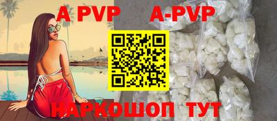 a pvp Новозыбков