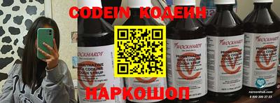 a pvp Новозыбков