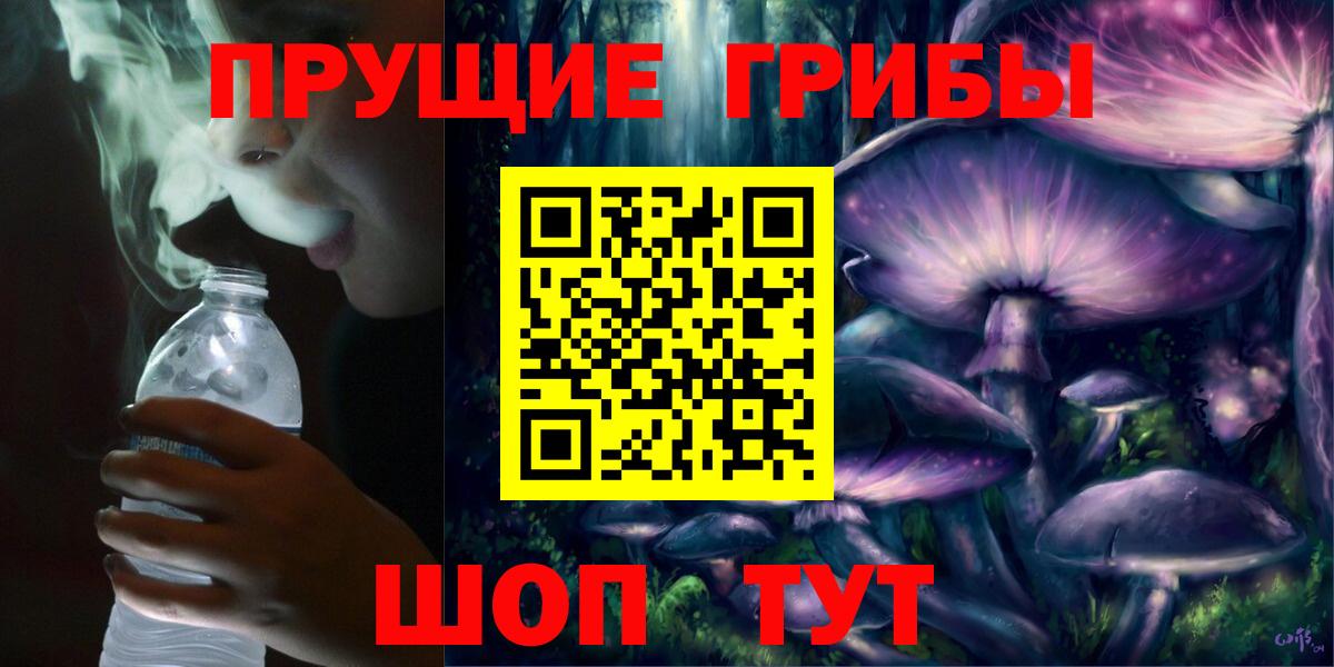 Псилоцибиновые грибы Psilocybe Тула